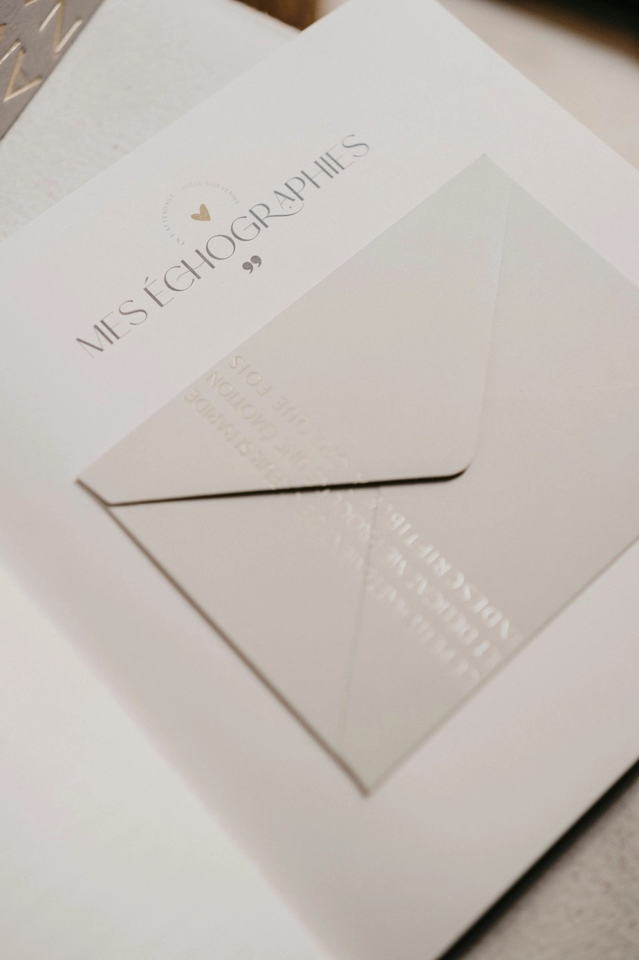 Livre de naissance - Petit Amour Sauge