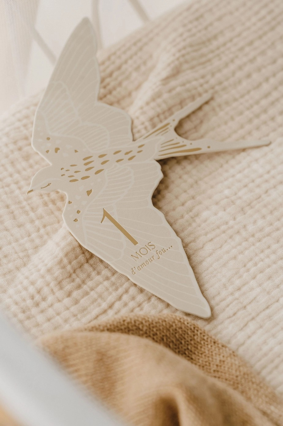Cartes étapes Birds