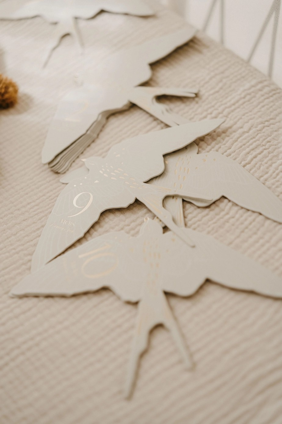 Cartes étapes Birds