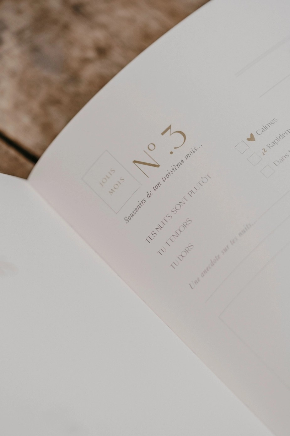 Livre de naissance - Petit Amour Sauge