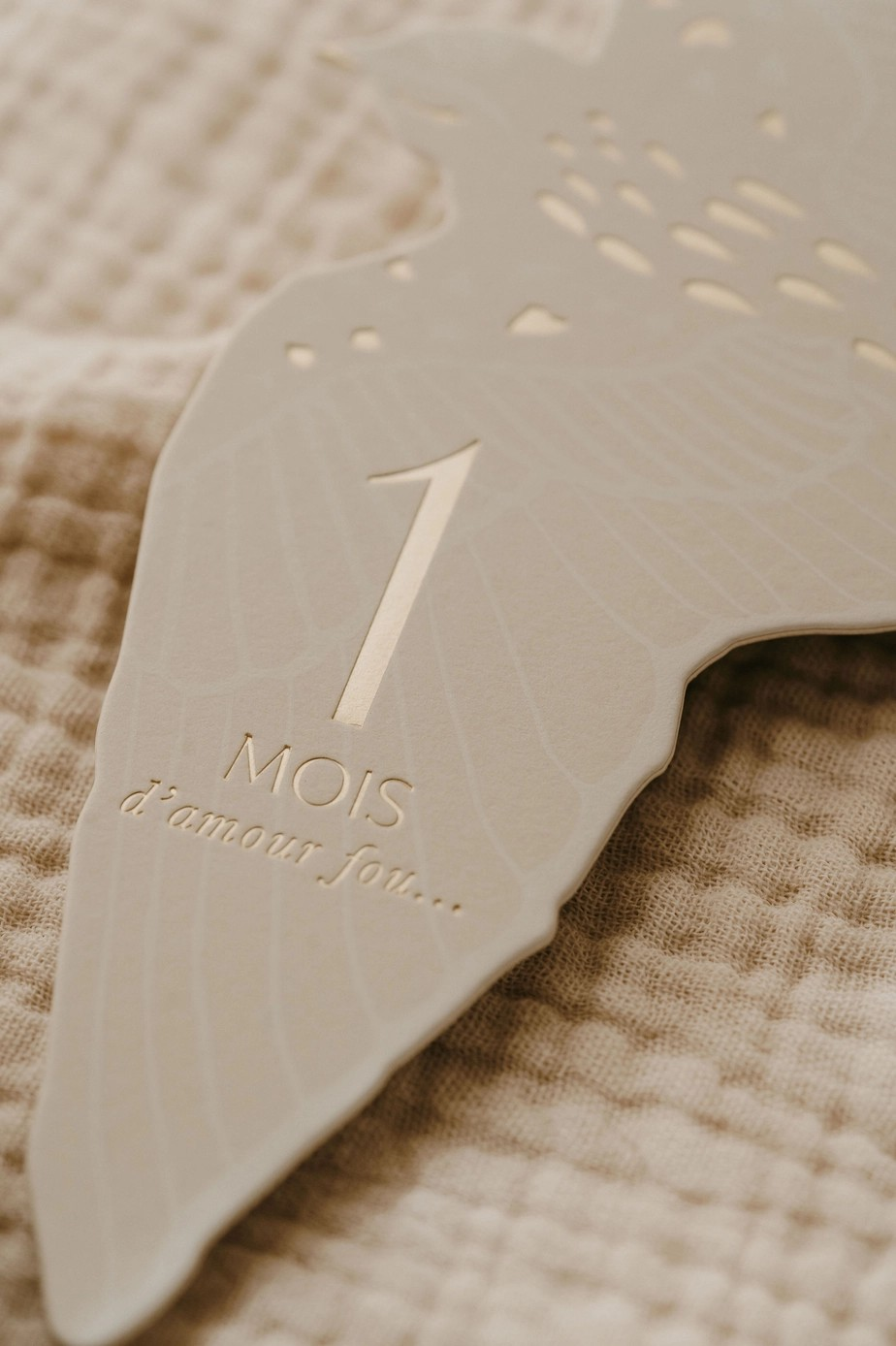Cartes étapes Birds