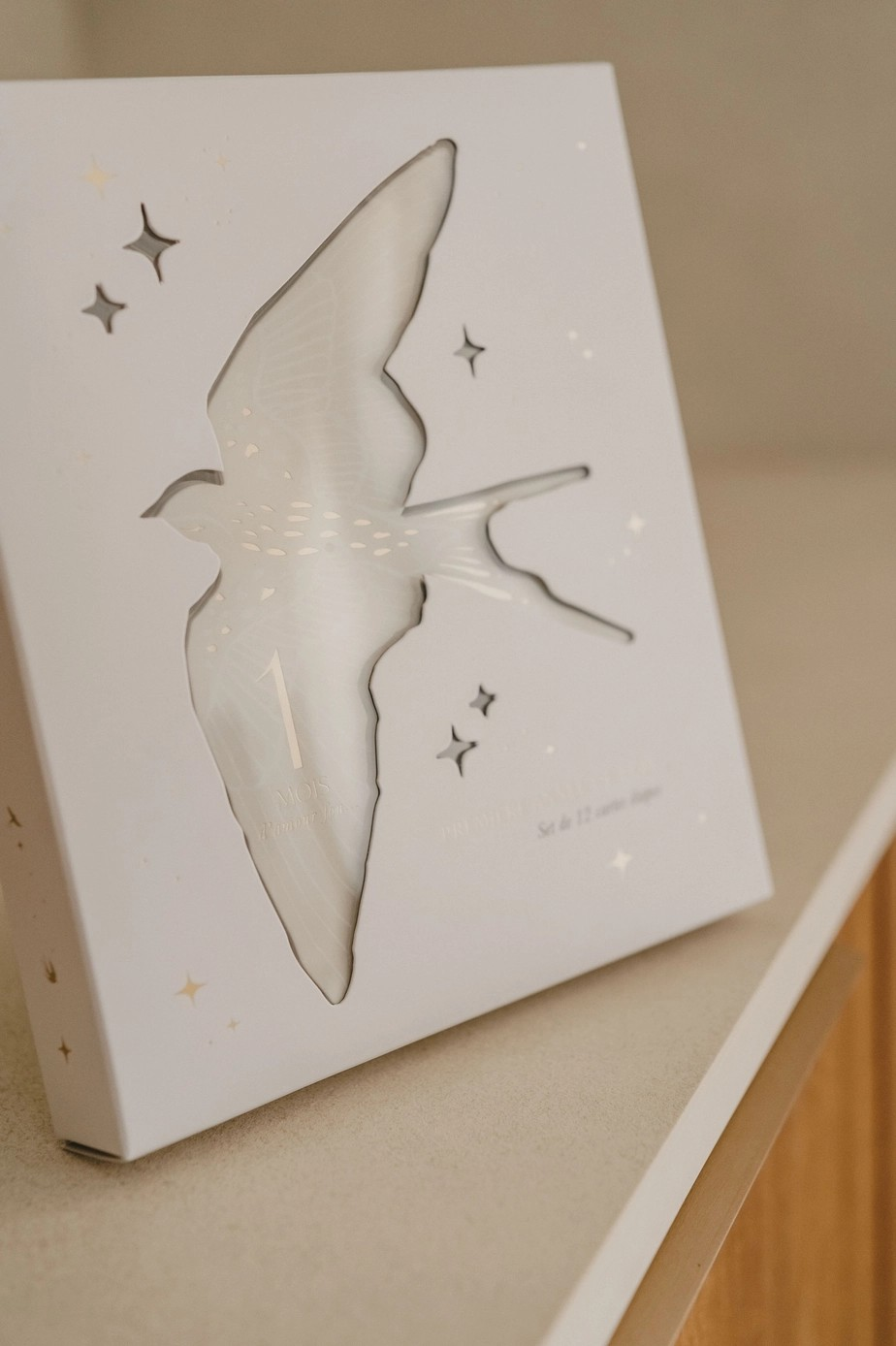 Cartes étapes Birds