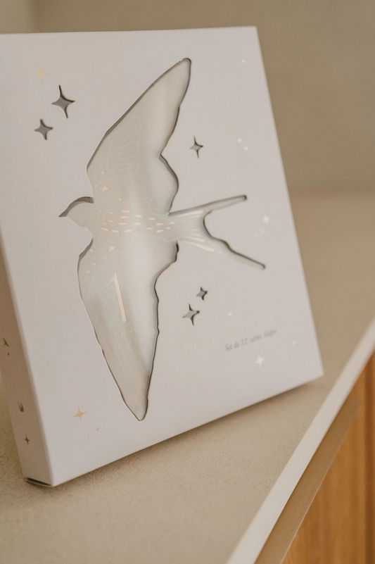 Cartes étapes Birds