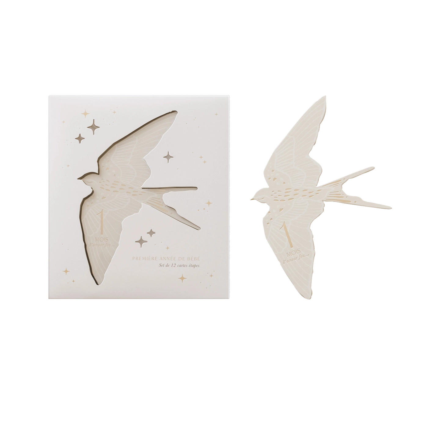 Cartes étapes Birds