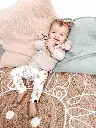 t710iwvu.webp